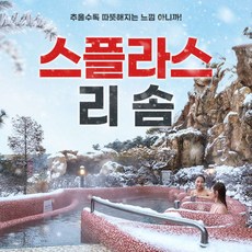 [충남] 스플라스리솜 온천 워터파크 이용권 (~1.31) 상품 이미지