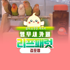 광주이색데이트