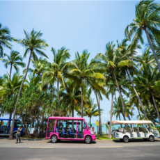 [삼아] #모두투어 ♥출발확정♥[초특가★하이난] 하이난 특급호텔 6일 [노쇼핑/대소동천/천애해각/녹회두] #티웨이 항공 #CHP118TWC6