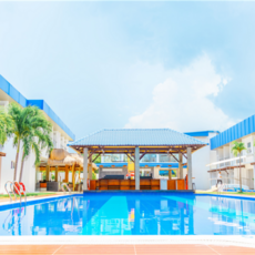 [보홀-팡라오] #모두투어 [고래상어+노쇼핑+노팁+왕복픽업] 보홀 / 라메디 디럭스룸 3박4일 #제주항공 #APP6077CR3