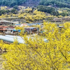 3월여행지추천 추천 1등 제품