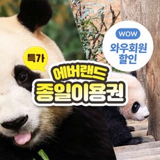  [용인] ★특가★에버랜드 종일이용권 (~2/29)  상품 이미지