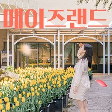 [제주] [제주] 메이즈랜드