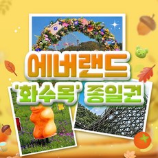 [용인] 에버랜드 화,수,목 종일권 (방문날짜지정) (~11/28)