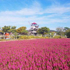 무용인한마음축제in성남