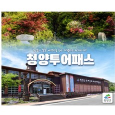 경기투어패스