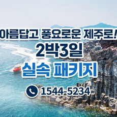 [제주도] ★아름다운 제주도 실속패키지 2박3일★