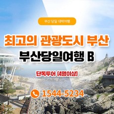 [부산] ★단독 투어+전용 차량/기사/KTX★당일투어2 (4인이상 예약가능)
