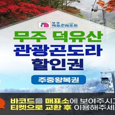 [전라] 무주 관광 곤도라 주중 이용권(12~02월)