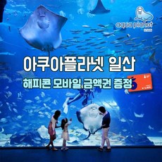 일산아쿠아플라넷36개월