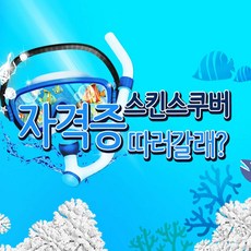 제주도스킨스쿠버