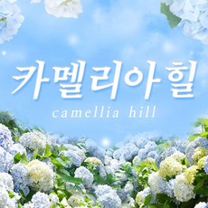 [제주] ♥팡팡혜택 증정♥카멜리아힐 입장권