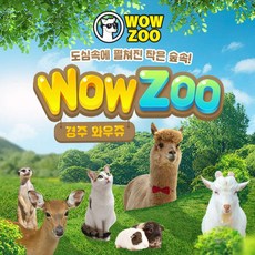 [경주] 실내동물원 WOWZOO(8/1~)