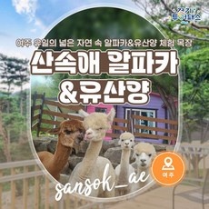 경기투어패스 TOP01