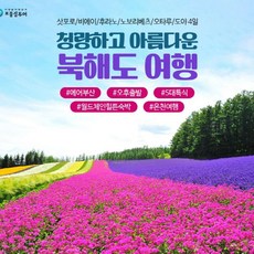 북해도패키지