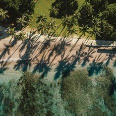 [호놀룰루] [하나투어]인천출발 하와이안항공 하와이 허니문 7일 #HHW117HA1