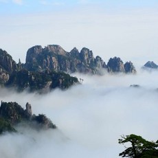 [항주] 인천출발 중국국제항공 [공식인증전용][추석황금연휴좌석보유]황산/항주 4일