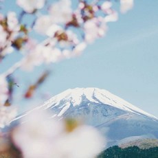 [도쿄] [하나투어]부산출발 진에어 [출발확정]도쿄/가와고에/하코네/아타미 4일