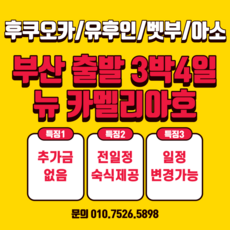 뉴카멜리아호 TOP01