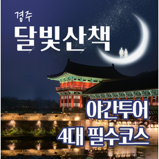 [경주] 경주야경투어 4대 필수코스 (동궁과월지, 첨성대, 월정교, 계림)