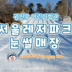[광진구] 서울레저파크 어린이회관 눈썰매장