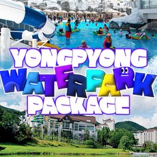 [평창] 용평리조트 하계시즌 워터파크종일권 2인 PKG