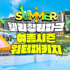 [강원] [횡성] 웰리힐리파크 여름시즌 워터PKG