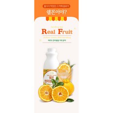 쉘몬 에이드 베이스1kg 10종 과일농축액 에이드 음료베이스 카페용품 한라봉, 1kg