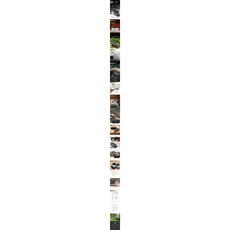 cbbb3b04c48090f73f9a2872e9476b9e85a1020fa1f00267b6db03b6147b.jpg