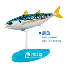 우리바다어류도감