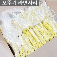 새들이모조리사라진다면