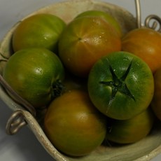 대저토마토(부산)