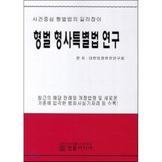 형벌 형사특별법 연구 : 사건중심 형벌법의 길라잡이, 법률미디어