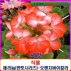 751c388c29d4c7ff47b723e3ab1e2378c989fa1f86aa57326c122d3cb97f.jpeg