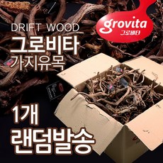 그로비타 가지유목(랜덤발송) 어항장식 유목레이아웃, 1개
