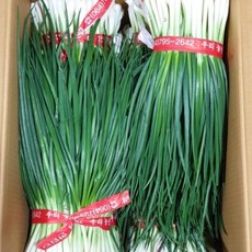 365팩토리 국내산 깐 쪽파 1kg