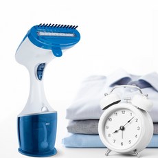 클래파스팀다리미