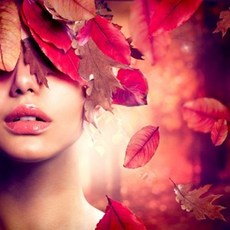 도손딥디크타입프래그런스오일1l