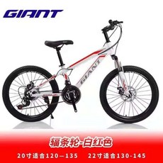 자이언트scr2plus