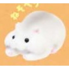 햄스터케이블