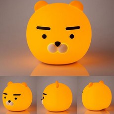 라이언무드등