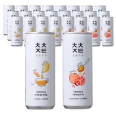 청춘전투 진저에레몬한방울 240ml(12캔)+자몽에꿀한스푼 240ml(12캔), 24캔