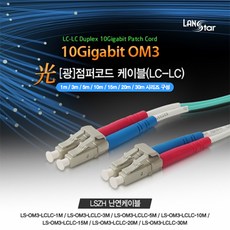 10g광케이블