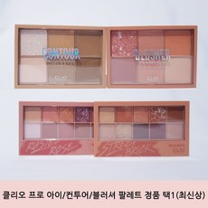 클리오 프로 아이 컨투어 블러셔 팔레트 정품 택1 (최신상), 1개, 3호 코랄토크