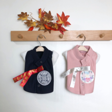 강아지한복만들기