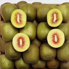 푸드꾸미 레드키위 붉은키위 홍다래 제주직송, 1박스, 4.5kg(특과)