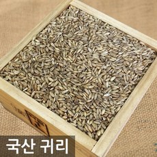 진솔그레인호주귀리10kg