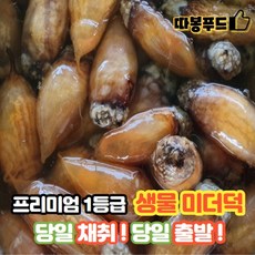 1a9e1c785171b3f7f81e26aeaf5caad22ea7aafe07d6d772ed4a12751006.jpg