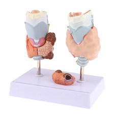 실험동물임상병리학