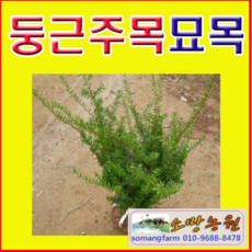 f5abfcd52ccfb7d3754de112263d80e69e2b97f94272c7afc8c883193d77.png